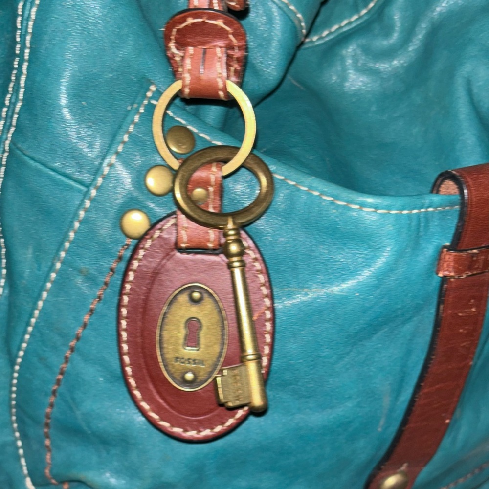 Fossil hobo purse